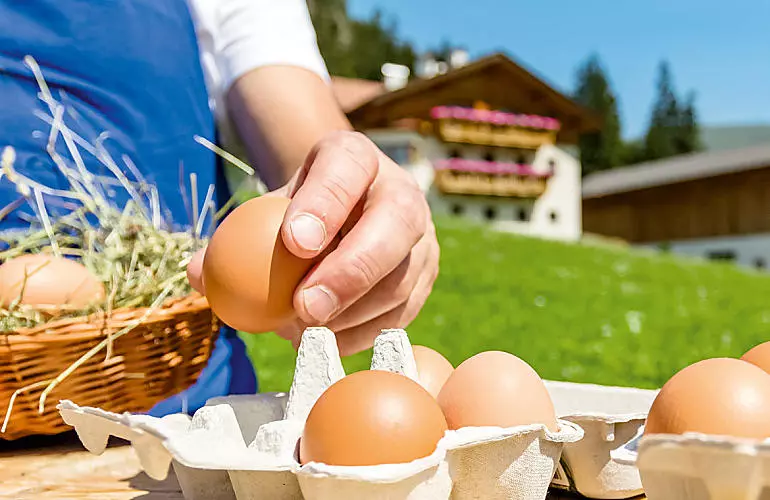 Le nostre uova di casa